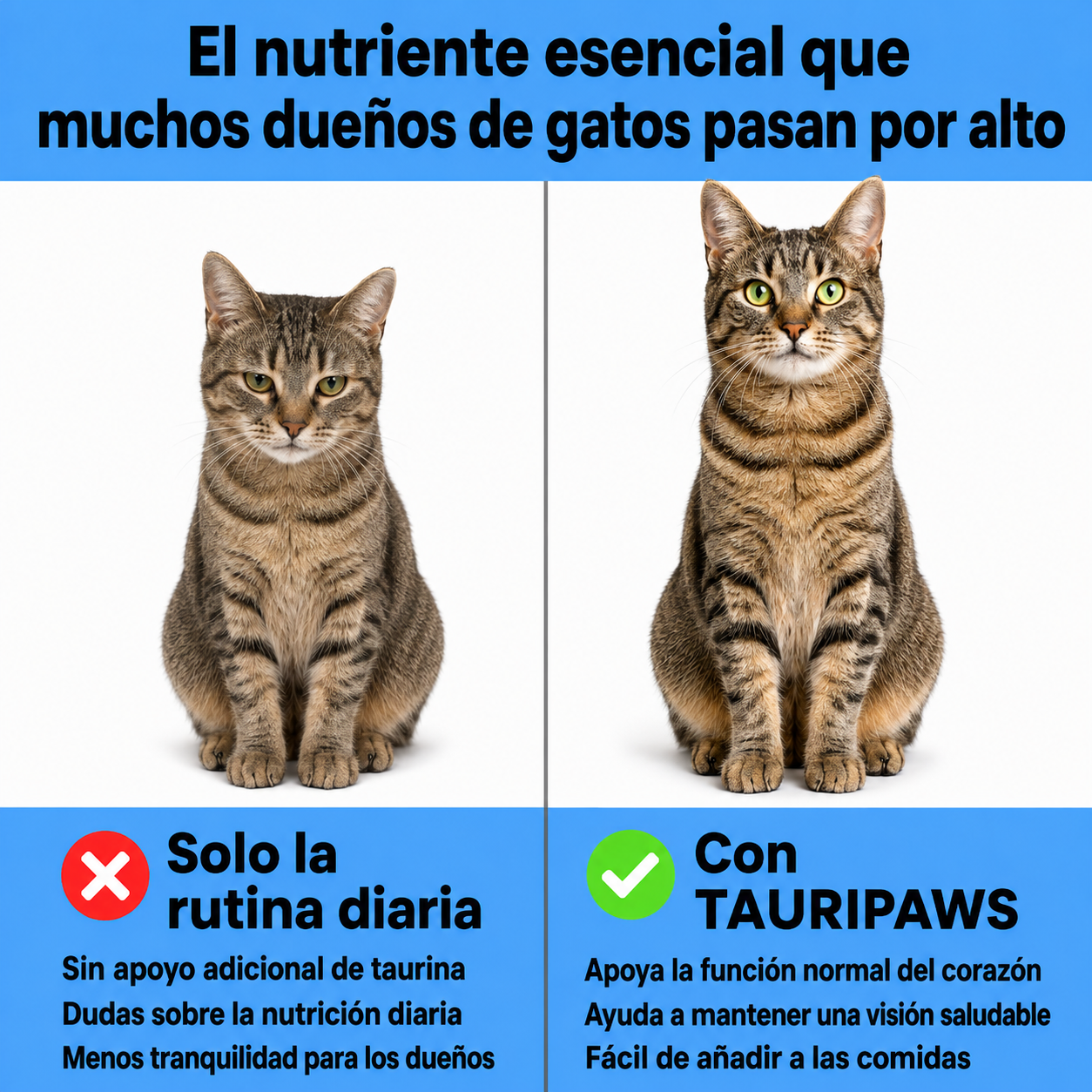 TAURIPAWS™
